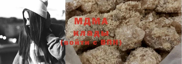 прущие грибы Дмитров