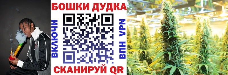 Шишки марихуана план  Верхоянск 